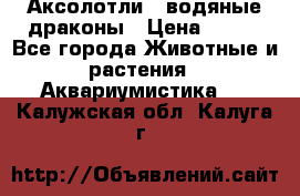 Аксолотли / водяные драконы › Цена ­ 500 - Все города Животные и растения » Аквариумистика   . Калужская обл.,Калуга г.